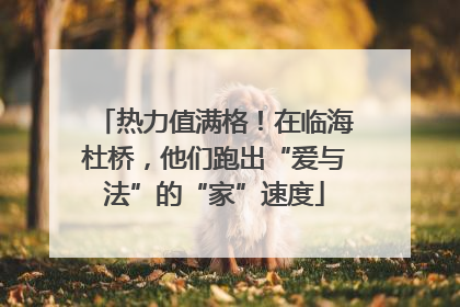 热力值满格！在临海杜桥，他们跑出“爱与法”的“家”速度
