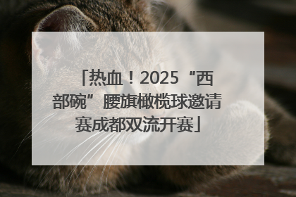 热血！2025“西部碗”腰旗橄榄球邀请赛成都双流开赛