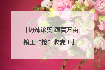 热辣滚烫 跟着万亩粮王“抢”收麦！