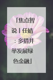 焦点智说丨任婧：多措并举发展绿色金融