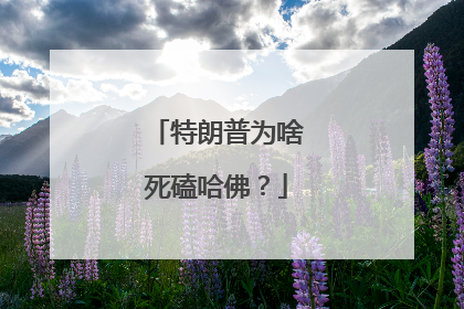 特朗普为啥死磕哈佛？