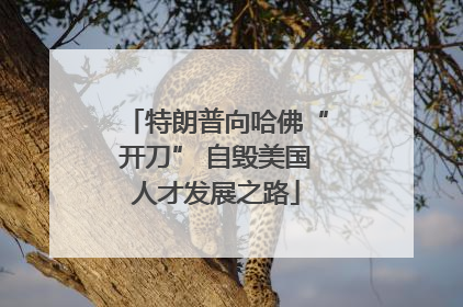 特朗普向哈佛“开刀” 自毁美国人才发展之路