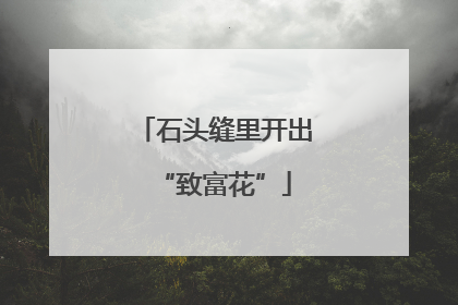石头缝里开出“致富花”