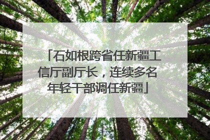 石如根跨省任新疆工信厅副厅长，连续多名年轻干部调任新疆