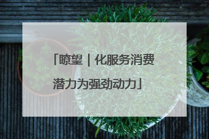 瞭望｜化服务消费潜力为强劲动力