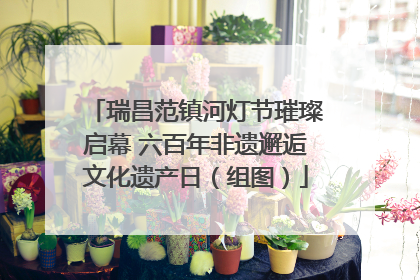 瑞昌范镇河灯节璀璨启幕 六百年非遗邂逅文化遗产日（组图）