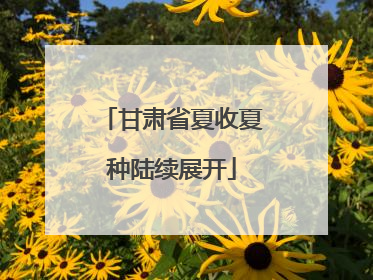 甘肃省夏收夏种陆续展开