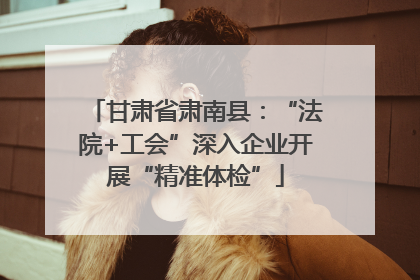 甘肃省肃南县：“法院+工会”深入企业开展“精准体检”