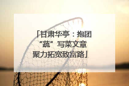 甘肃华亭：抱团“蔬”写菜文章 聚力拓宽致富路