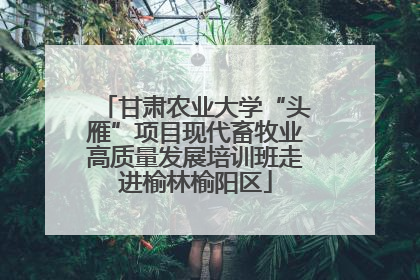 甘肃农业大学“头雁”项目现代畜牧业高质量发展培训班走进榆林榆阳区