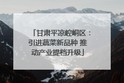 甘肃平凉崆峒区：引进蔬菜新品种 推动产业提档升级