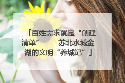 百姓需求就是“创建清单”——苏北水城金湖的文明“养城记”