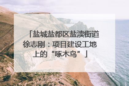 盐城盐都区盐渎街道徐志刚：项目建设工地上的“啄木鸟”