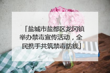 盐城市盐都区龙冈镇举办禁毒宣传活动，全民携手共筑禁毒防线
