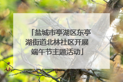 盐城市亭湖区东亭湖街道北林社区开展端午节主题活动