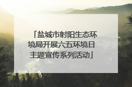盐城市射阳生态环境局开展六五环境日主题宣传系列活动