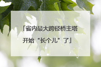 省内最大跨径桥主塔开始“长个儿”了