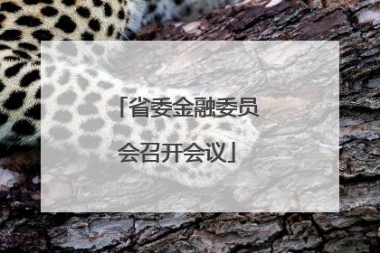 省委金融委员会召开会议