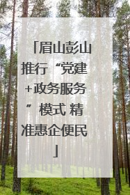 眉山彭山推行“党建+政务服务”模式 精准惠企便民
