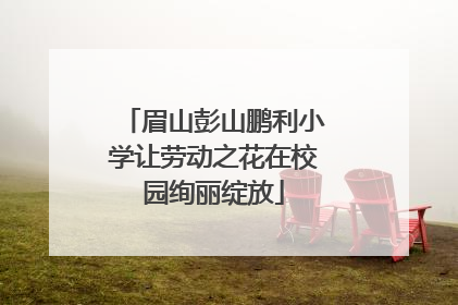 眉山彭山鹏利小学让劳动之花在校园绚丽绽放