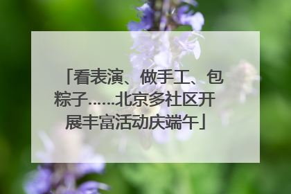 看表演、做手工、包粽子……北京多社区开展丰富活动庆端午