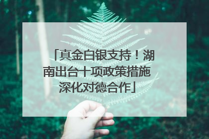 真金白银支持！湖南出台十项政策措施深化对德合作
