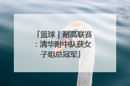 篮球｜耐高联赛：清华附中队获女子组总冠军