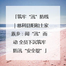 筑牢“汛”防线｜慈利县阳和土家族乡：闻“汛”而动 全员下沉筑牢防汛“安全堤”