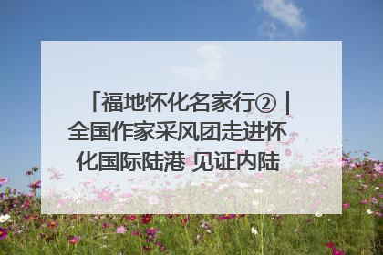 福地怀化名家行②｜全国作家采风团走进怀化国际陆港 见证内陆城市开放崛起新篇章