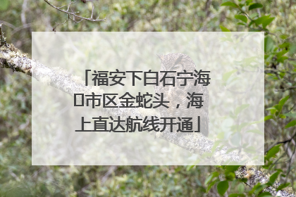 福安下白石宁海⇆市区金蛇头，海上直达航线开通