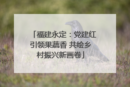 福建永定：党建红引领果蔬香 共绘乡村振兴新画卷