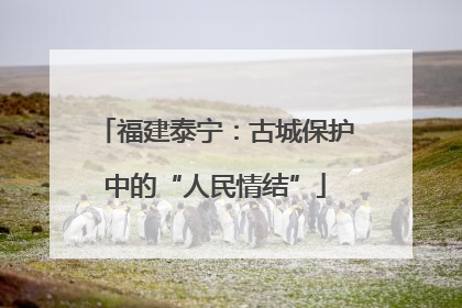 福建泰宁：古城保护中的“人民情结”