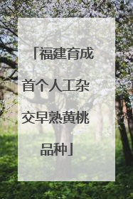 福建育成首个人工杂交早熟黄桃品种