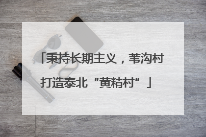 秉持长期主义，苇沟村打造泰北“黄精村”