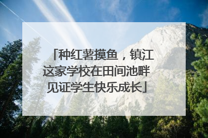 种红薯摸鱼，镇江这家学校在田间池畔见证学生快乐成长
