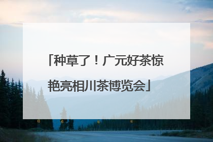 种草了！广元好茶惊艳亮相川茶博览会
