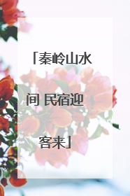 秦岭山水间 民宿迎客来