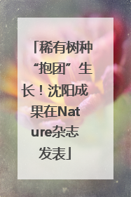 稀有树种“抱团”生长！沈阳成果在Nature杂志发表