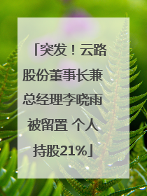 突发！云路股份董事长兼总经理李晓雨被留置 个人持股21%