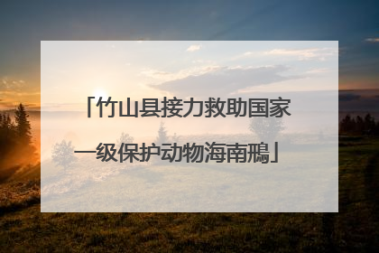 竹山县接力救助国家一级保护动物海南鳽