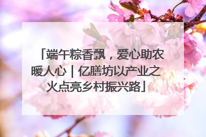 端午粽香飘，爱心助农暖人心｜亿膳坊以产业之火点亮乡村振兴路