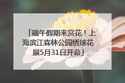 端午假期来赏花！上海滨江森林公园绣球花展5月31日开幕