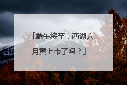 端午将至，西湖六月黄上市了吗？