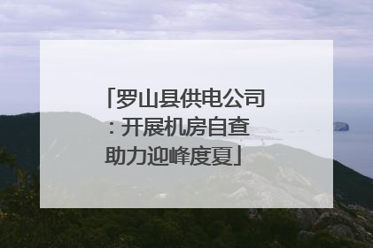 罗山县供电公司：开展机房自查 助力迎峰度夏
