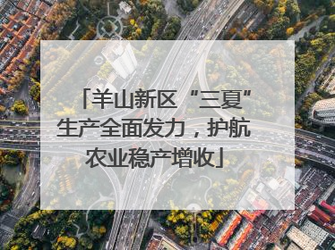 羊山新区“三夏”生产全面发力，护航农业稳产增收