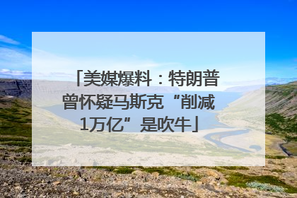 美媒爆料：特朗普曾怀疑马斯克“削减1万亿”是吹牛