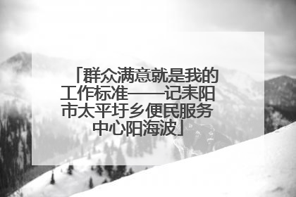群众满意就是我的工作标准——记耒阳市太平圩乡便民服务中心阳海波