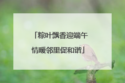 粽叶飘香迎端午 情暖邻里促和谐