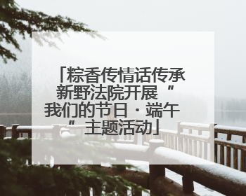 粽香传情话传承 新野法院开展“我们的节日・端午”主题活动