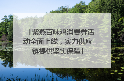 紫燕百味鸡消费券活动全面上线，实力供应链提供坚实保障